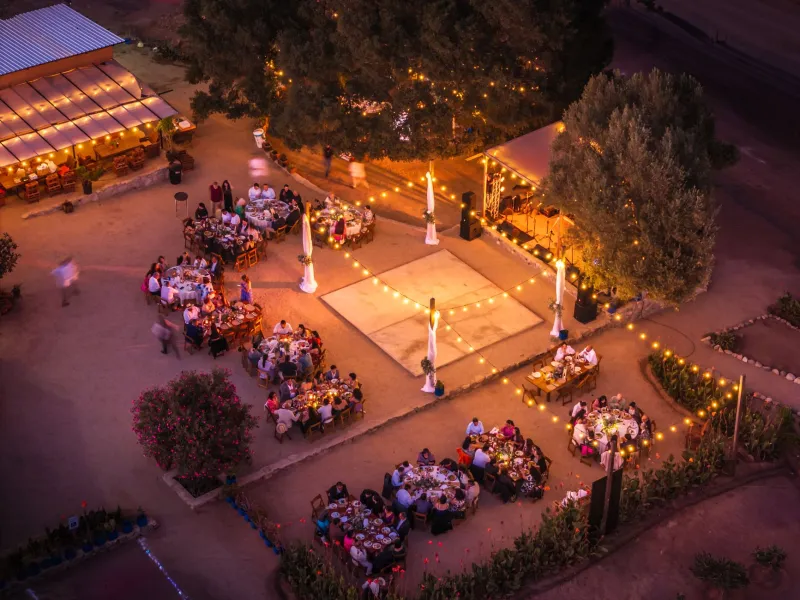Pass the Salt, Drop the Bass: Inside America's Dinner-and-Dance Underground